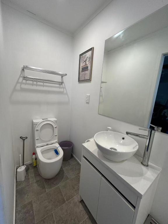 13 Bedlington - Resim 3