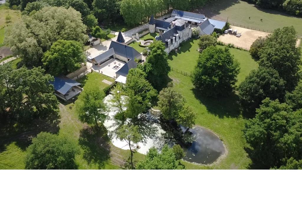 ジュエ・レ・トゥールにあるManoir, vignes et chevaux au cœur des châteauxの大家の木々の空中