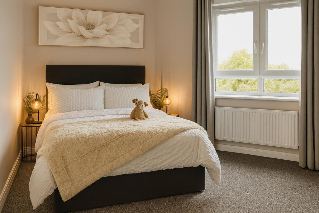 Un osito de peluche sentado en una cama en un dormitorio. en Hastings Apartments Extra Large Self Catering Apt Tourism Certified Free Parking WiFi, en Belfast