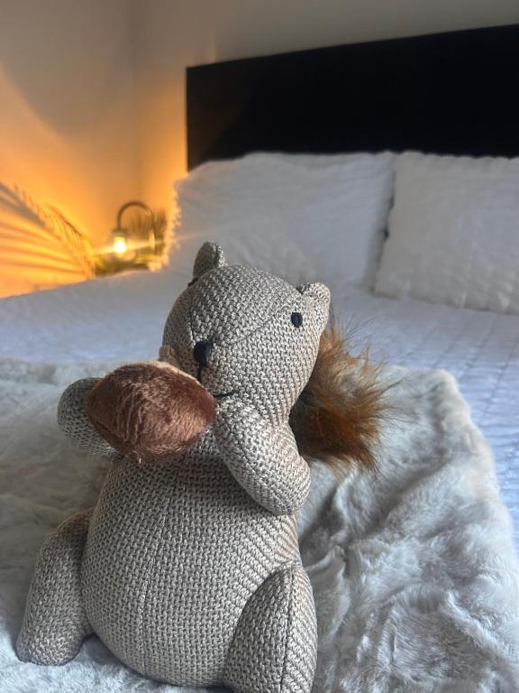 ein ausgestopfter Teddybär auf einem Bett in der Unterkunft Hastings Apartments Extra Large Self Catering Apt Tourism Certified Free Parking WiFi in Belfast