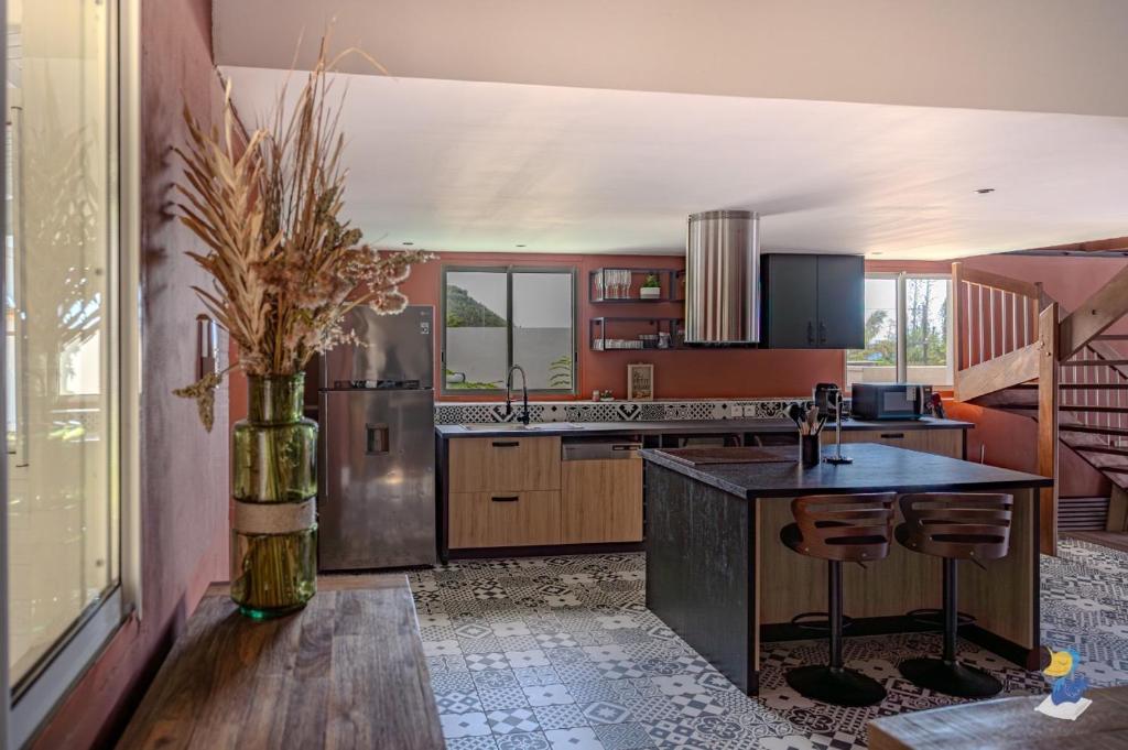 een keuken met een vaas met een plant erin bij Dodoterla - BoisBlanc in Sainte-Rose