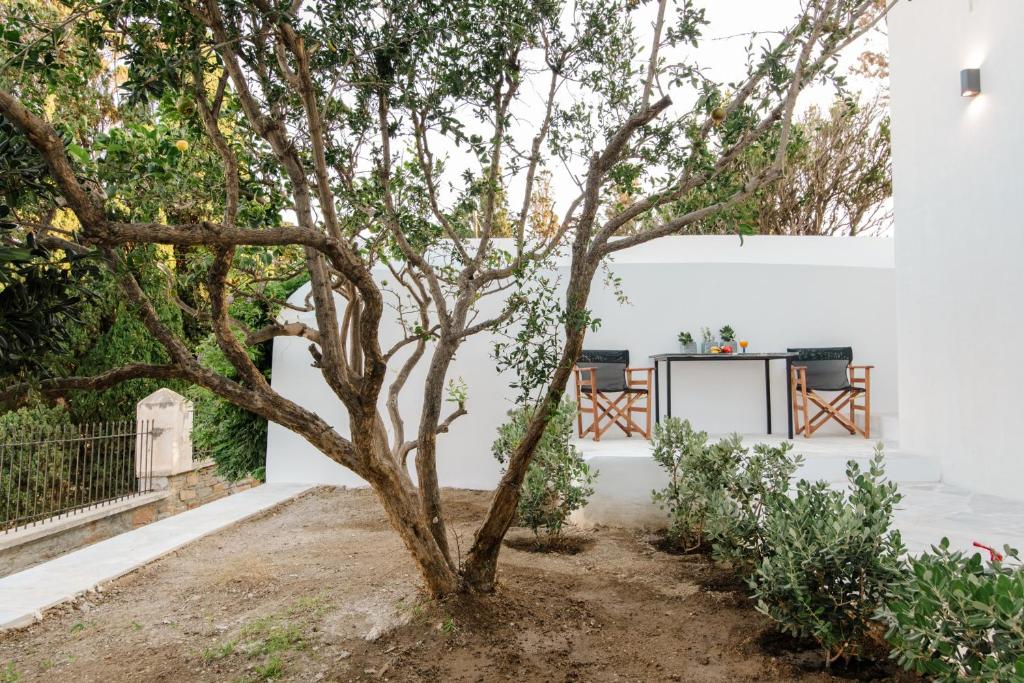 un árbol en un patio junto a una pared blanca en Sta Perivolia, en Tinos