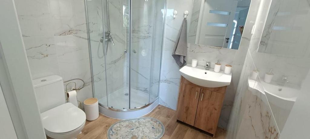a bathroom with a shower and a toilet and a sink at Blue cottage near Krakow in Rudawa