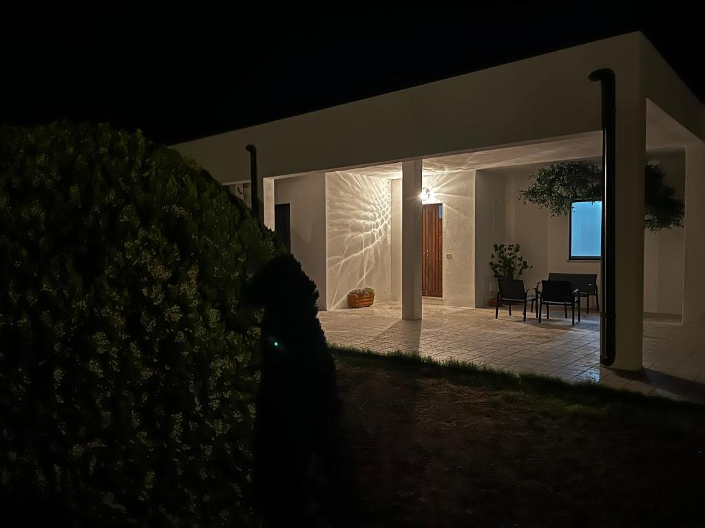 Clădirea în care este situat/ăcamera de închiriat