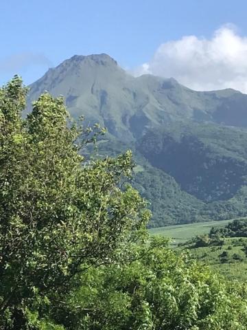 a mountain in the distance with trees in the foreground at le refuge in La Dessaint