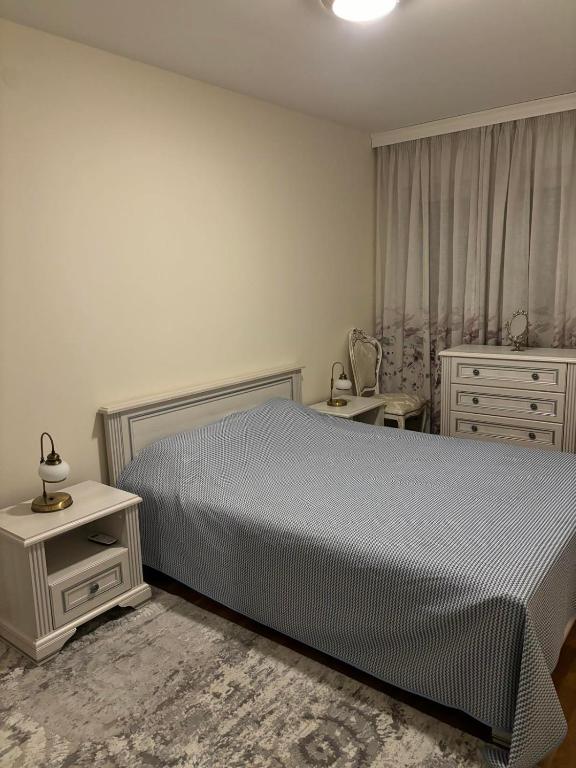 a bedroom with a bed and a dresser at Rest in Podgorica