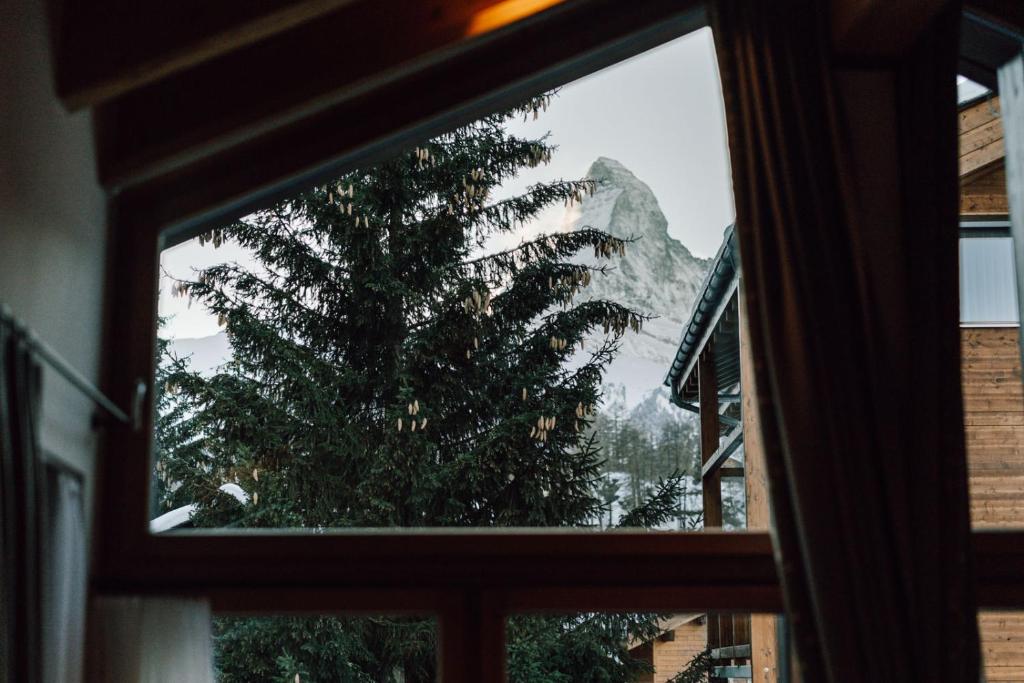 Europe Hotel & Spa - Resim 14