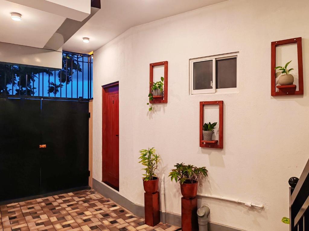 ANTONIO TRANSIT KATUNAYAKE - 16