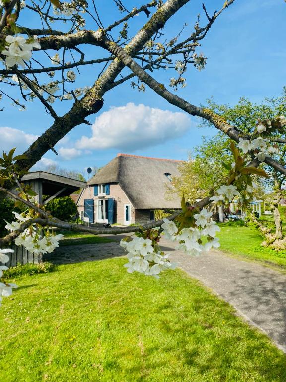 a house with a flowering tree in front of it at Boerderij de Breken in Heerde