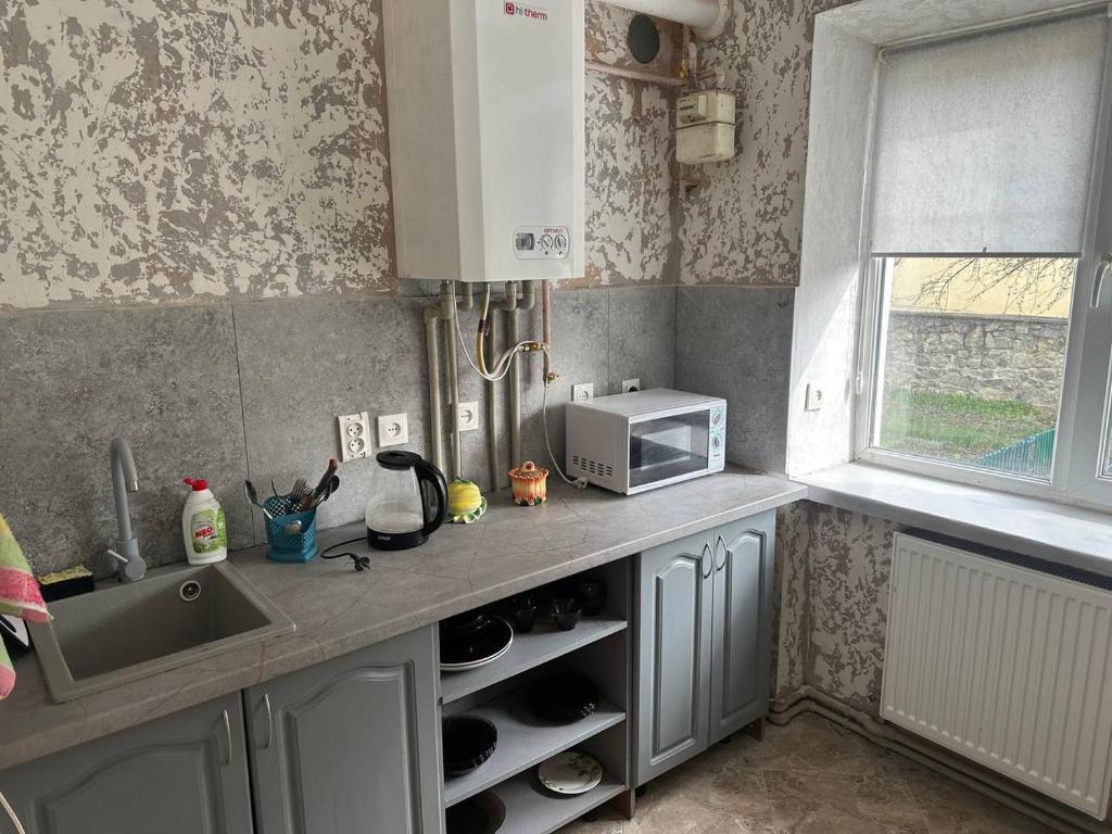 een keuken met een spoelbak en een magnetron bij 1-кімнатна квартира в центрі - Чортків in Chortkiv