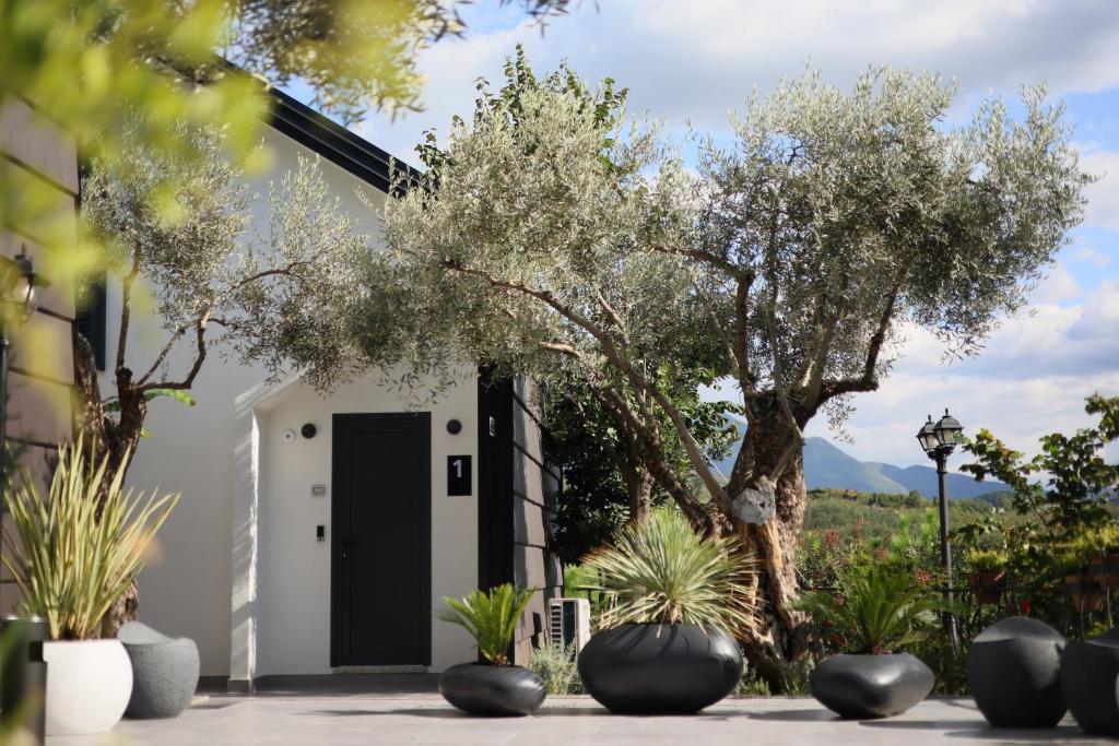 Κήπος έξω από το Muraga Villas