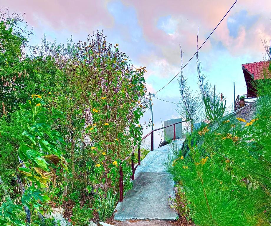 a dirt path with flowers on the side of a hill at Chalé Mirante da Pedra in Serra de São Bento