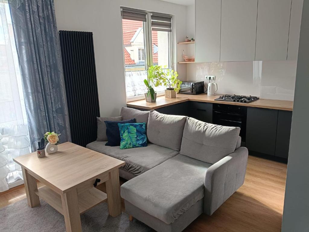 a living room with a couch and a table at Apartament Krakowska in Tarnowskie Góry