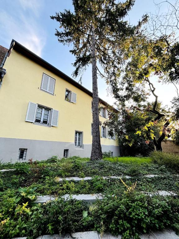 Appartement Mulhouse Centre historique – photo 10