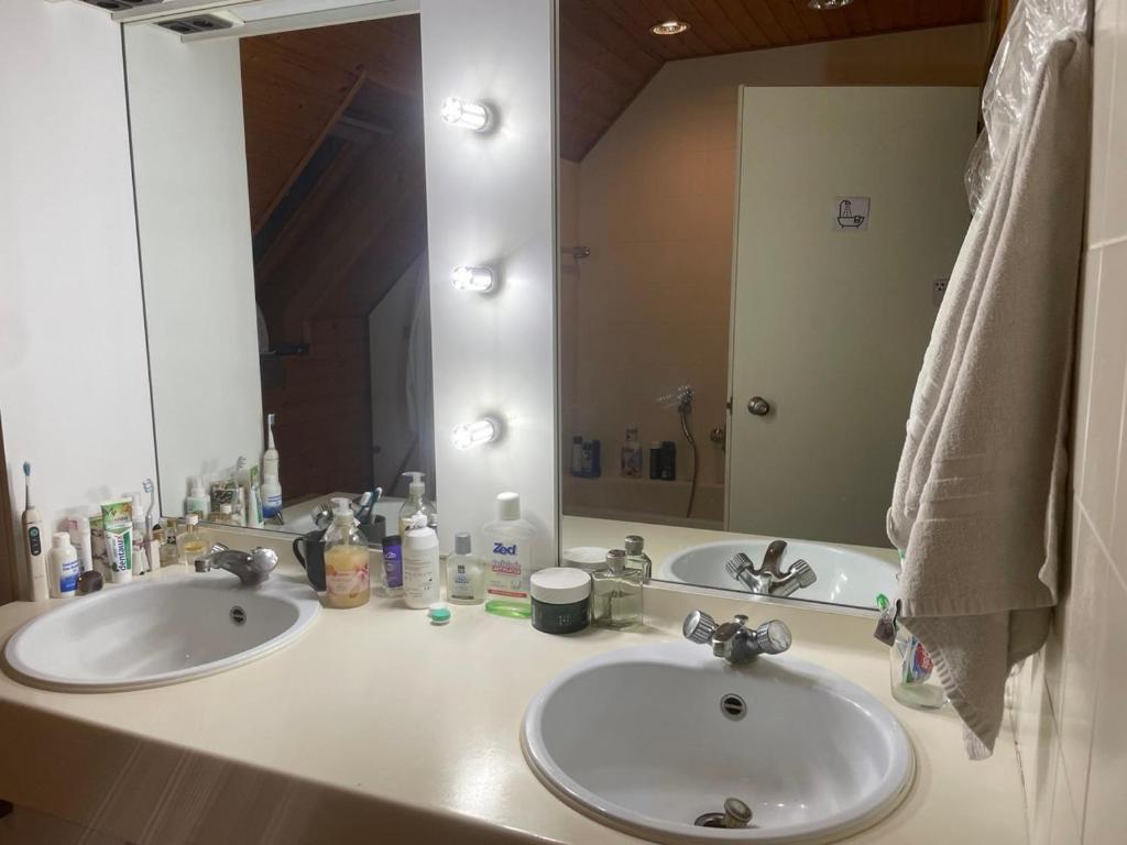a bathroom with two sinks and a large mirror at Campe-good in Kampenhout