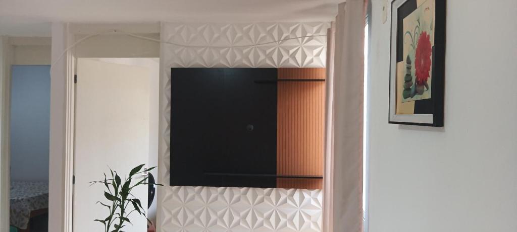 a mirror in a room with a plant at Apartamento para cop 30 Belém Pará in Marituba