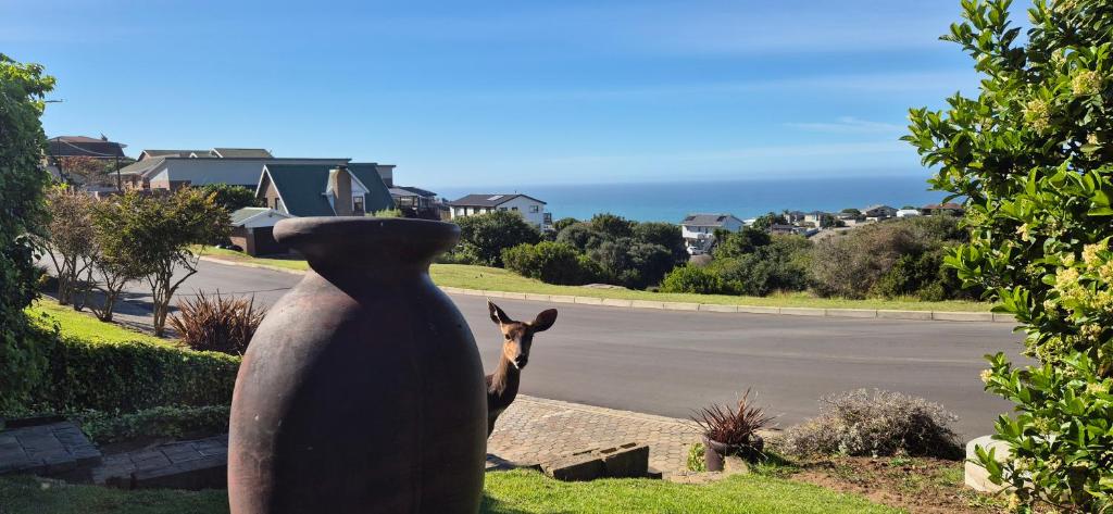 a statue of a penguin standing next to a road at To C Garden Cottage in Mossel Bay