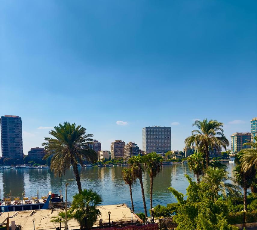 a view of a river with palm trees and buildings at ROOMES NILE VIEW MANIEl in Cairo