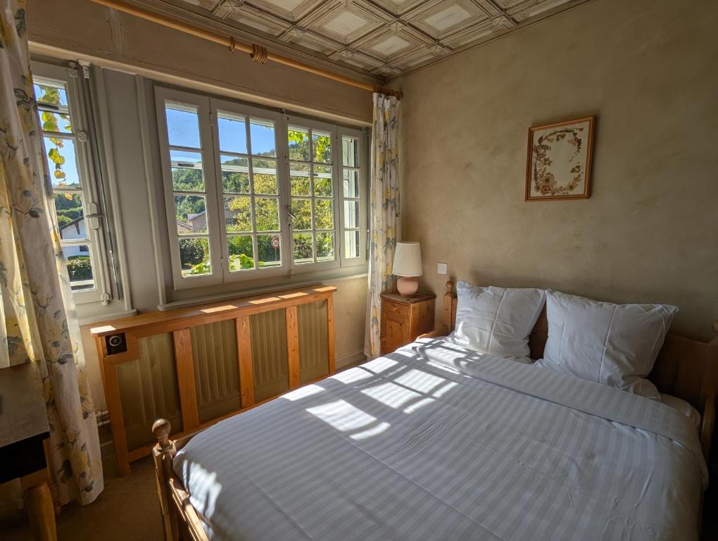 a bedroom with a large bed and two windows at Auberge Des Chasseurs in Échenevex