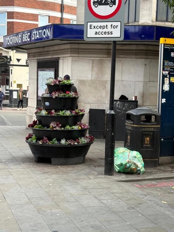 a display of flowers on a city street at Jerryinn Rooms in London