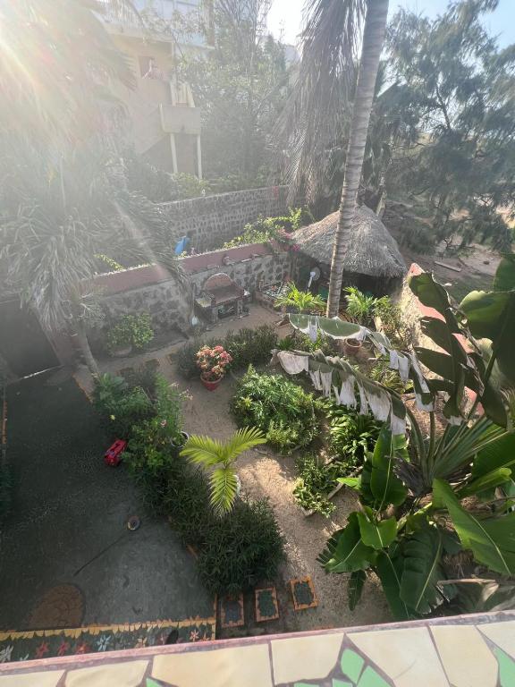 a garden with a bench and some plants at Casa Jujube - Guest House in Dakar