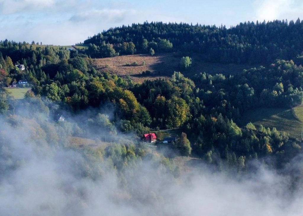 Una vista de un bosque con un tren en una colina. en Przysiółek Flądrówka - Dom na odludziu z widokiem na Gorce i Tatry, en Szczawa