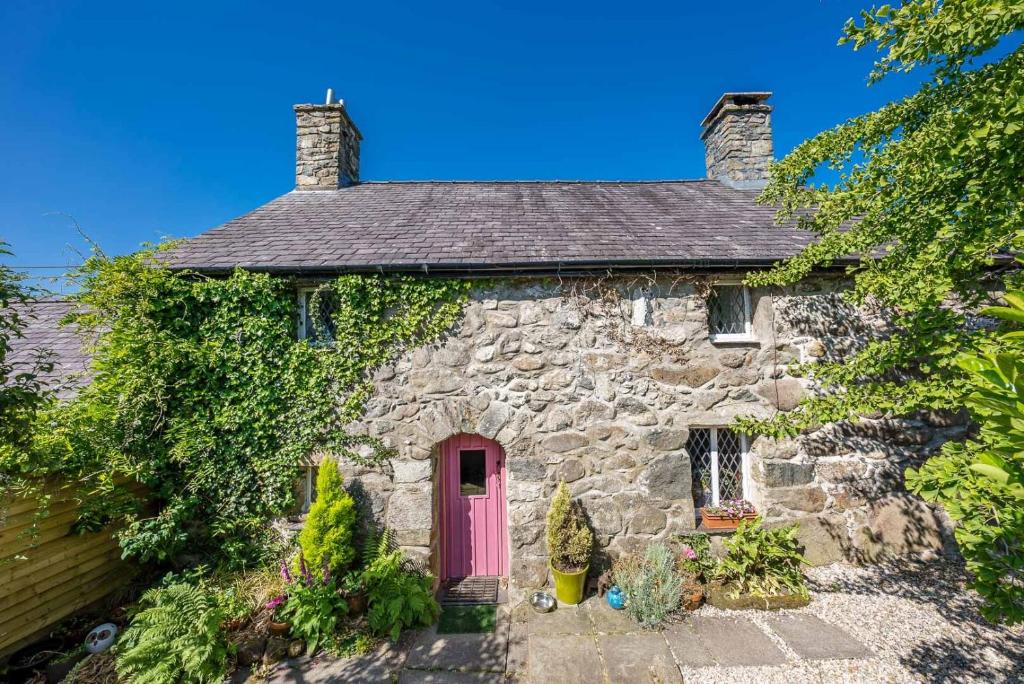 an old stone house with a pink door at Llys-Derwin in Dolbenmaen