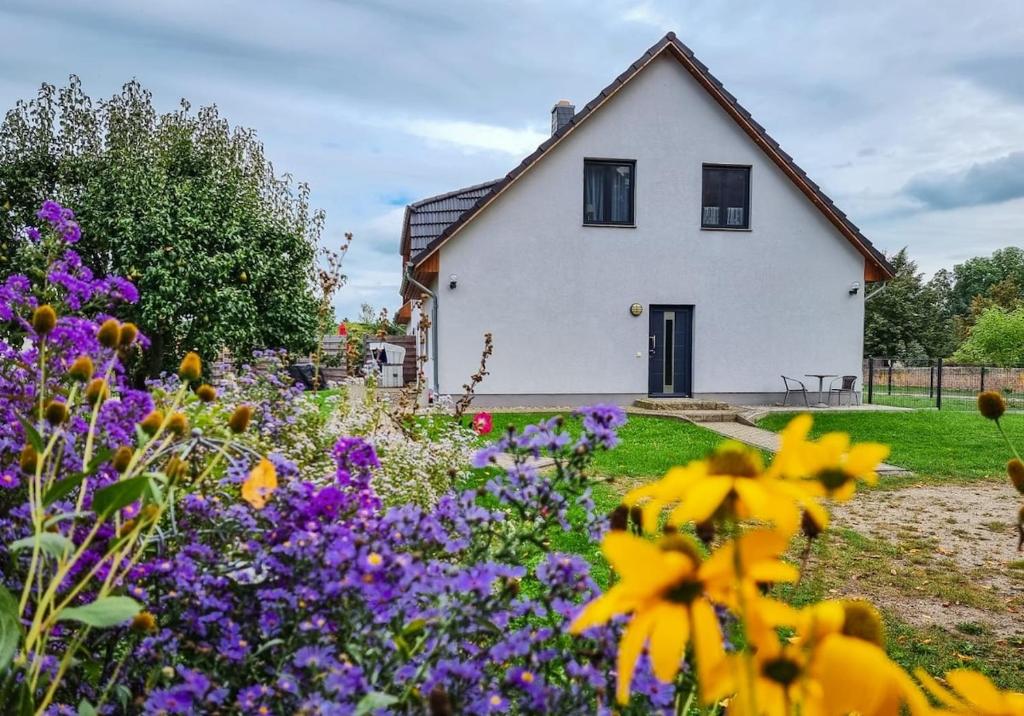 una casa bianca con dei fiori davanti di Ferienwohnung zur Schlossruine a Boldekow