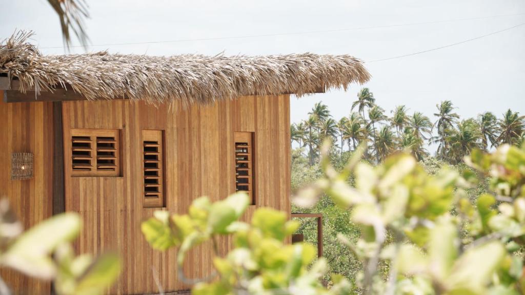 a small hut with a straw roof and palm trees at Mangal Amaniū in Camocim