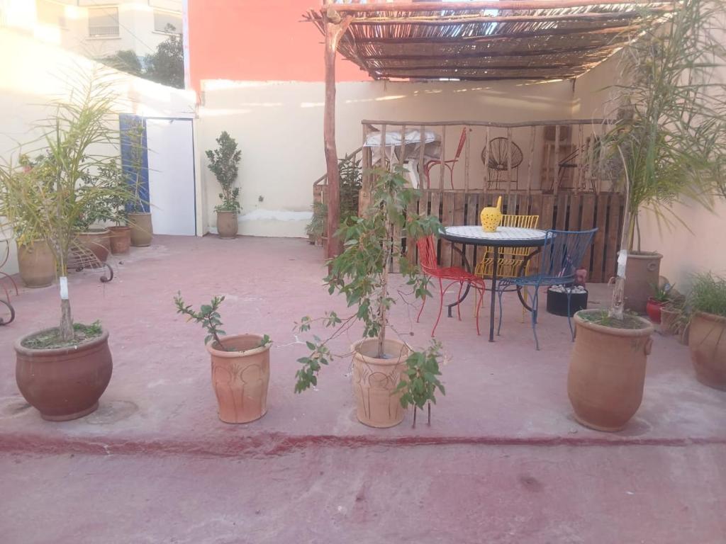 a patio with potted plants and a table and chairs at Dar Mobarak in Oualidia