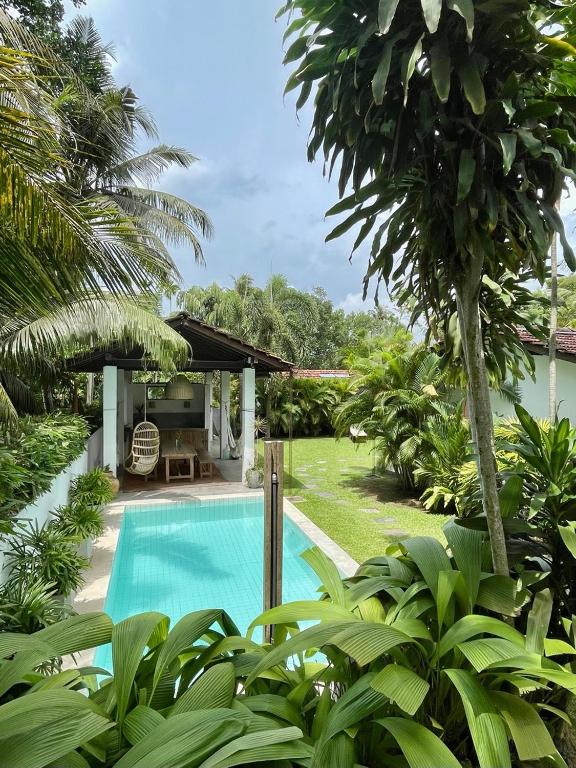 阿杭格默Kanferri Villa的树木繁茂的庭院中的一个游泳池