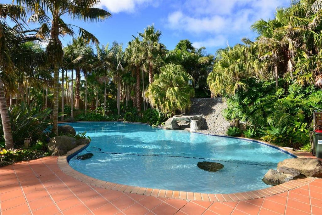 - une piscine dans un complexe avec des palmiers dans l'établissement Scenic Coastal Gem with Pool, Tennis, Securely Gated, à Whangaparaoa