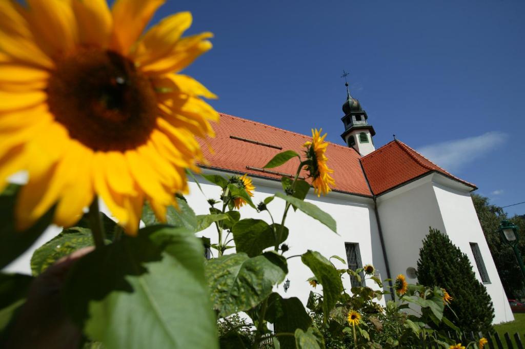 Zahrada ubytování Gasthof Grillitsch Rösslwirt