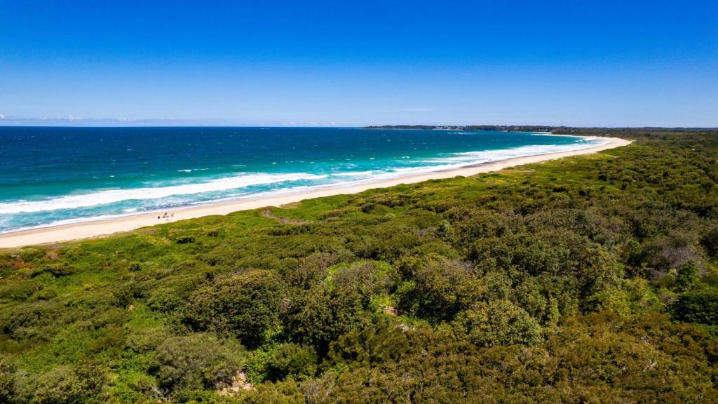 an aerial view of a beach with trees and the ocean at Aquavista Beach, Lake, Sun, and Sand in Budgewoi