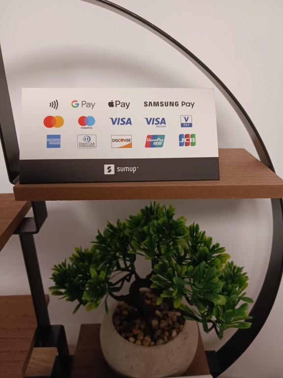 a plant sitting on a desk next to a tv at le cocon de gepetto spa privatif in Fussy
