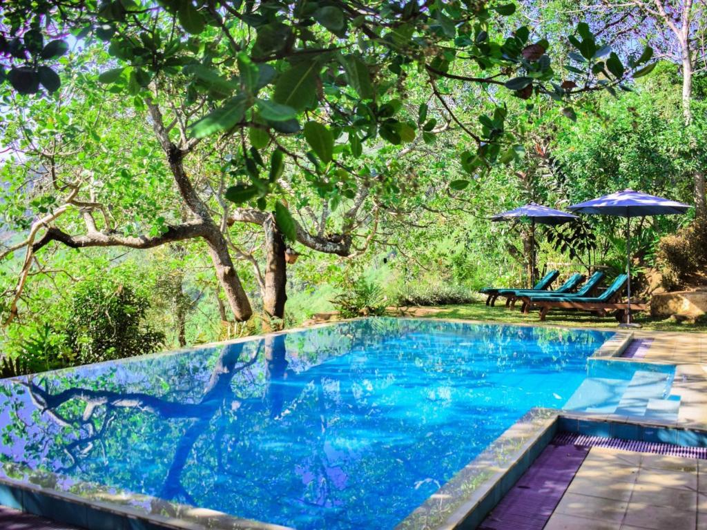 a swimming pool in the middle of a yard with trees at Aqua Dunhinda Villa in Kandy