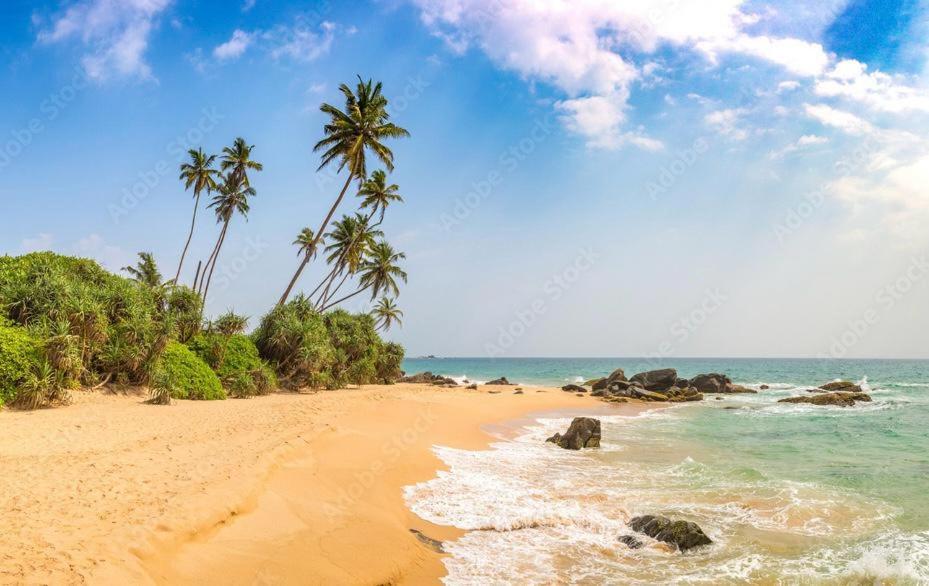 Příroda nedaleko vily