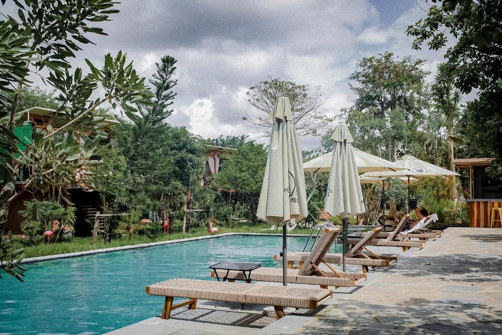 a pool with lounge chairs and umbrellas next to it at Nam garden lodge in Tân Phú