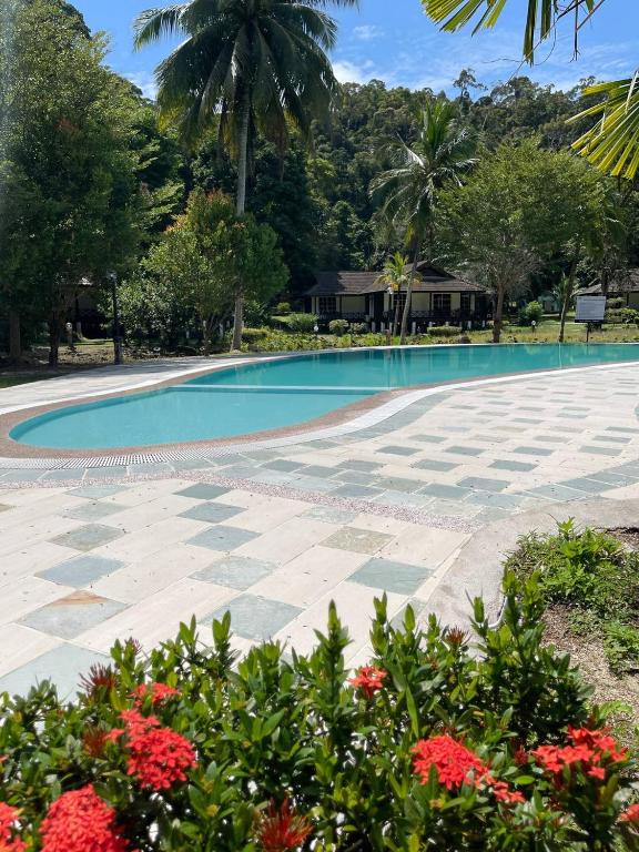 Zahrada ubytování Perhentian Island Resorts - PIR BS