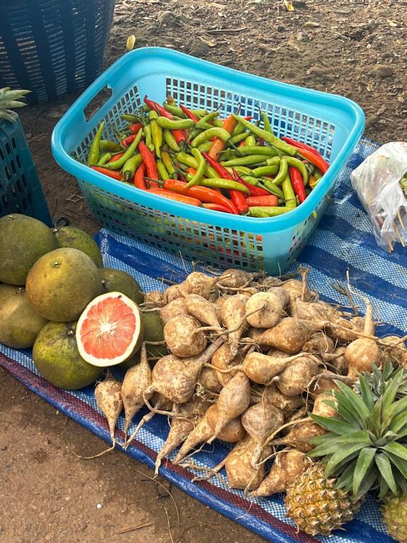 Ban Mae KhonにあるYidan Farmstay in Chiang Daoの野菜の入ったバスケットと果物と野菜の入ったバスケット