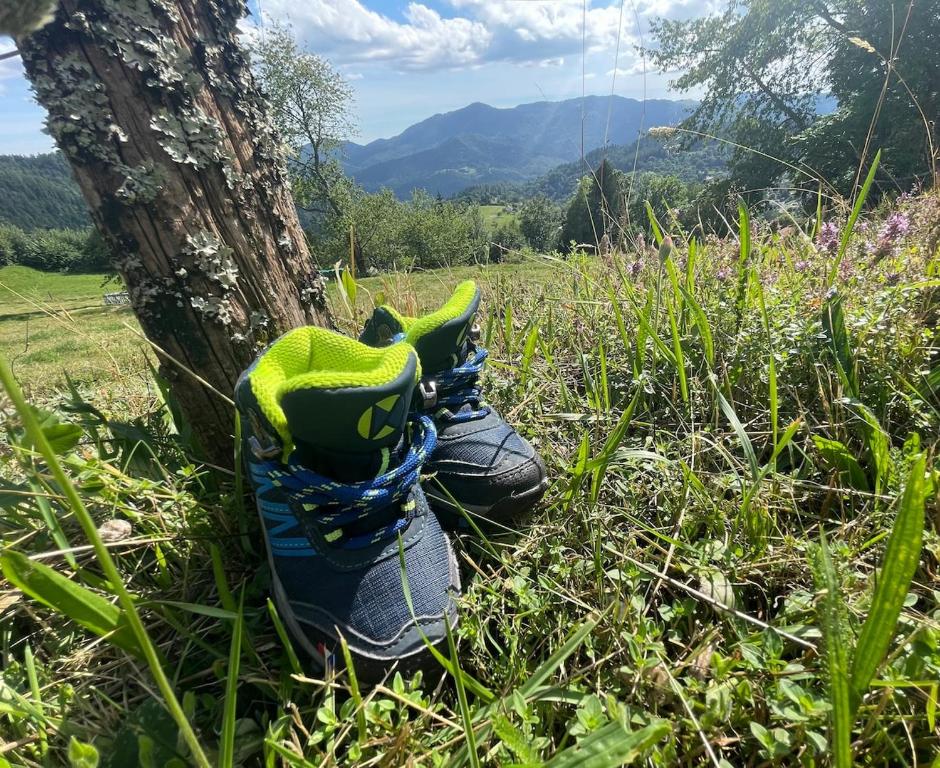 a pair of shoes sitting in the grass next to a tree at Lodge with private spa in Geishouse