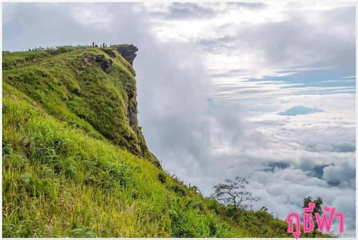 a grassy hill with people on top of it at เอวาเฮ้าส์ ภูชี้ฟ้า avahouse phuchifa in Ban Seng Choi