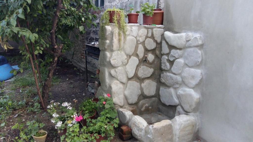Zahrada ubytování Dima's Guesthouse