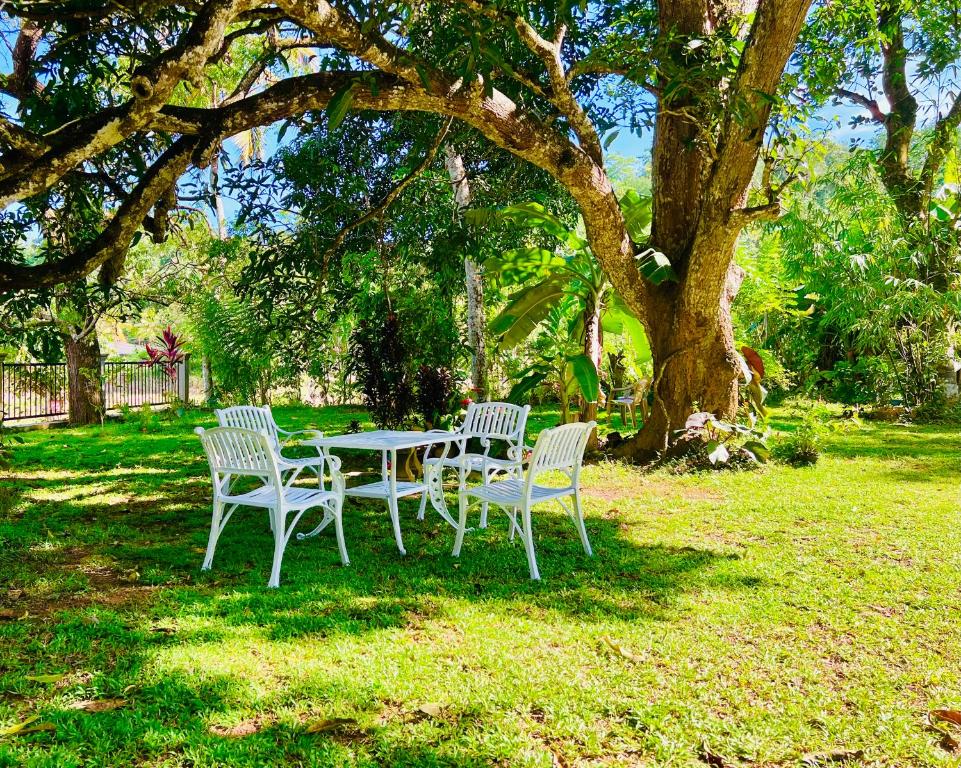 a table and chairs sitting under a tree at Peace Villa - Homestay in Dickwella
