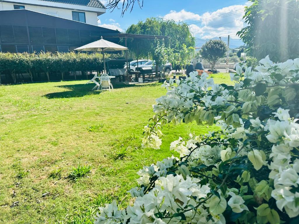 Κήπος έξω από το 喔我知道了民宿 可查詢官網訂房