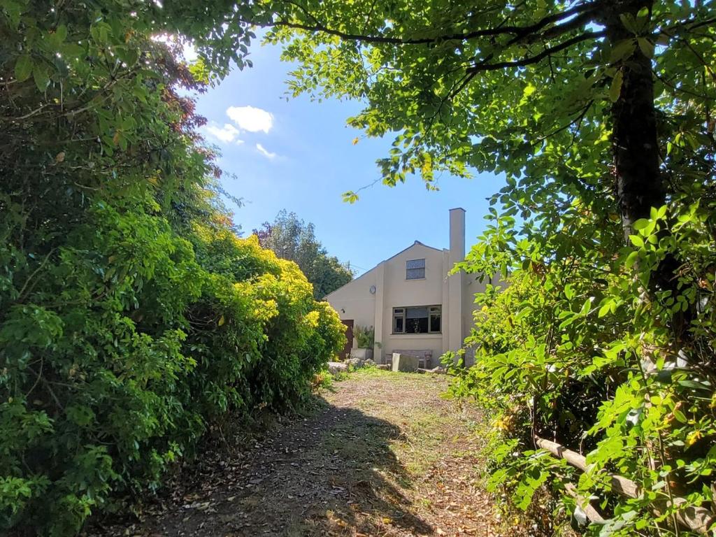 a path leading to a house through trees at Halls Cleave, Woodland Retreat, Moretonhampstead, Dartmoor in Moretonhampstead