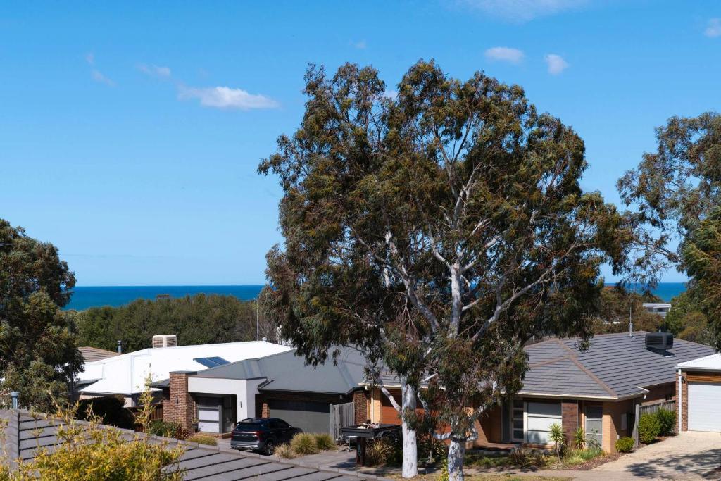a house with a tree in front of it at Spacious Seaview Family Getaway in Torquay