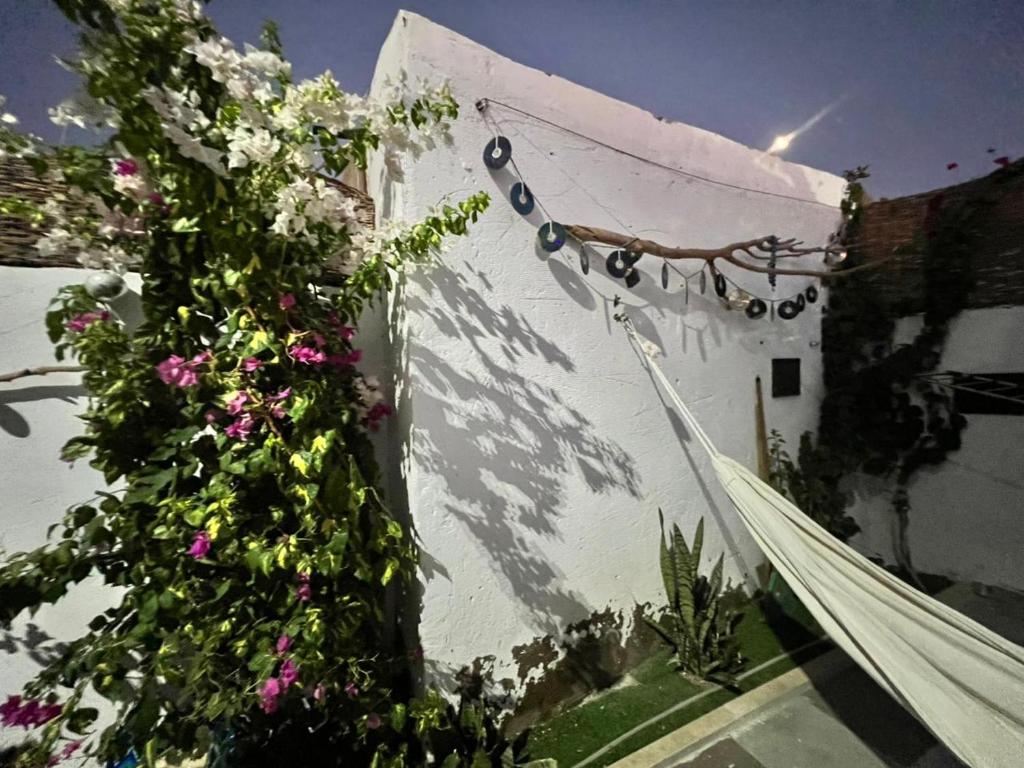 a building with flowers growing on the side of it at Asia House in Dahab