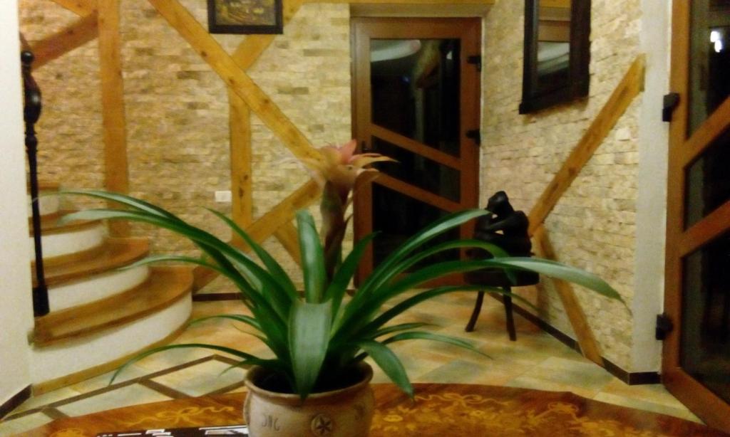 Hanul Cappsha - Resim 7