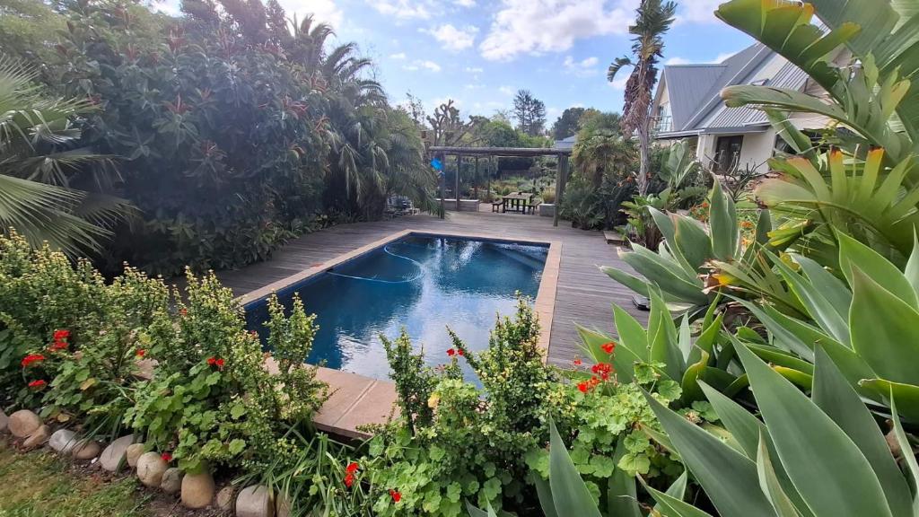 a swimming pool in a garden with plants at The Cottage, Heide Avenue in Somerset West